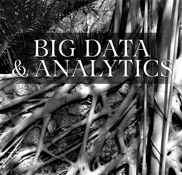 Big data and analytics