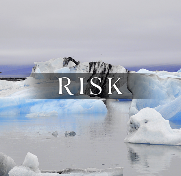 Risk